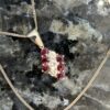 Pre-Owned 18ct White Gold Ruby & Diamond Cluster Pendant - Image 6